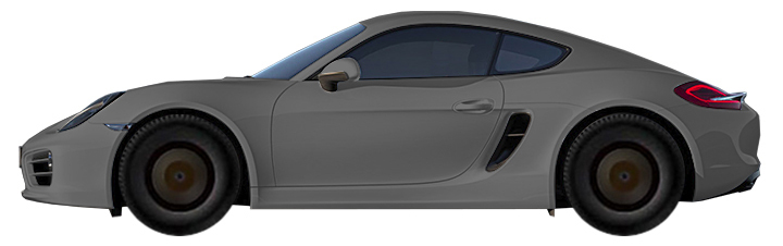 Porsche 718 982 Cayman (2016-2019) 2.0